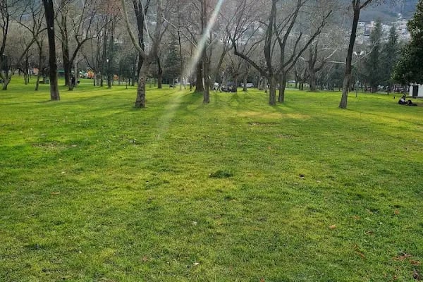 Ters Ev Bursa - Resim 12