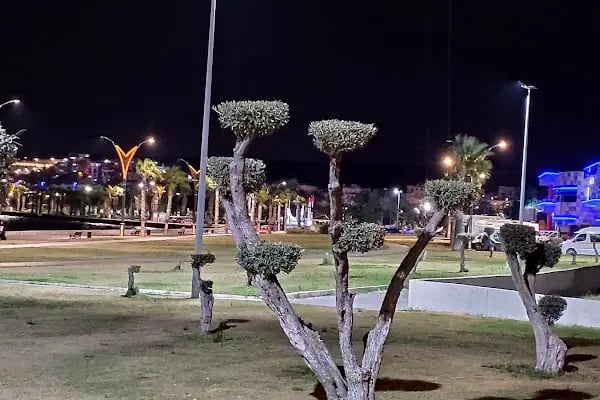 Avcı Ramadan Parkı - Resim 12