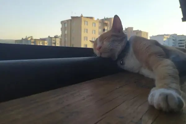 Kafa Sahne - Resim 14