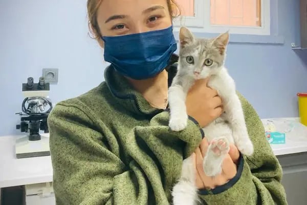 Mutlupati Veteriner Kliniği - Resim 15