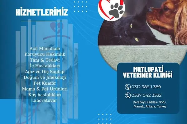 Mutlupati Veteriner Kliniği - Resim 19