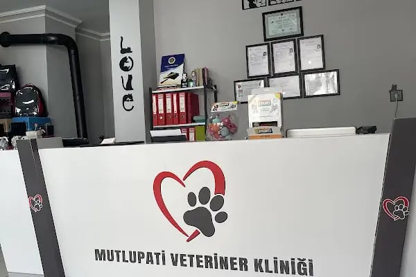 Mutlupati Veteriner Kliniği - Resim 20