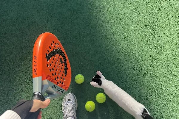 Alanya Padel Academy - Resim 11