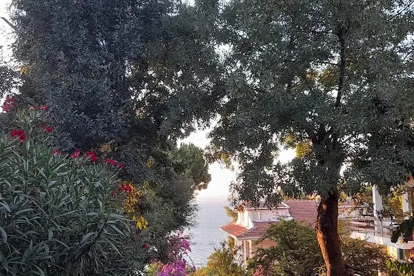 Adalar Belediyesi - Resim 18