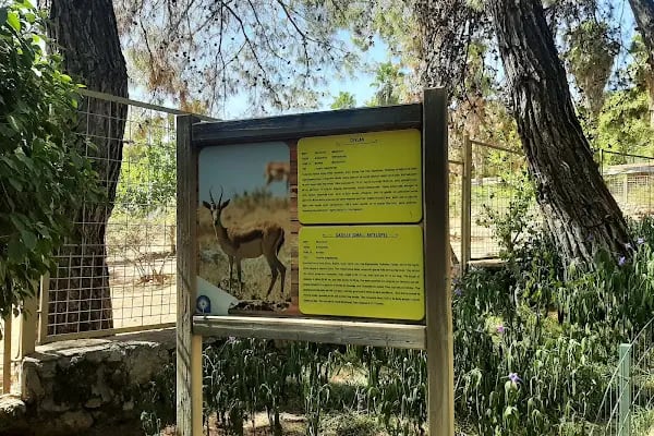 Hayvanat bahçesi sosyal tesisi - Resim 13