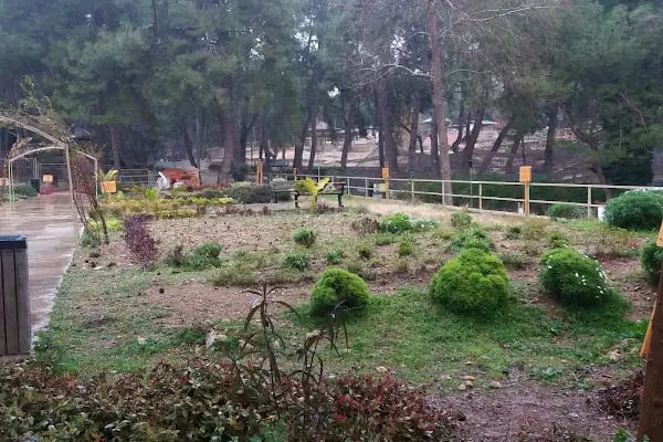 Hayvanat bahçesi sosyal tesisi - Resim 14
