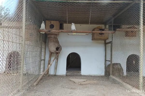 Hayvanat bahçesi sosyal tesisi - Resim 16