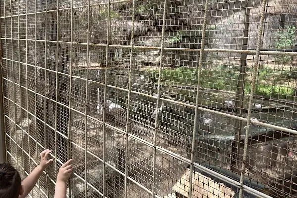 Hayvanat bahçesi sosyal tesisi - Resim 17
