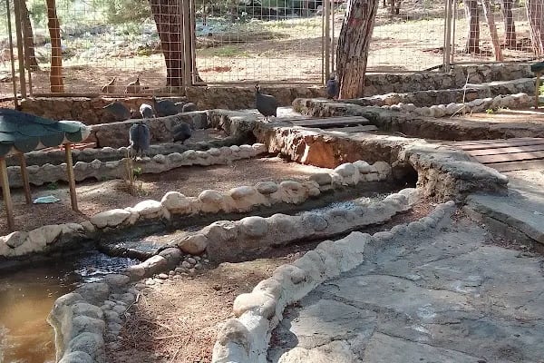 Hayvanat bahçesi sosyal tesisi - Resim 15