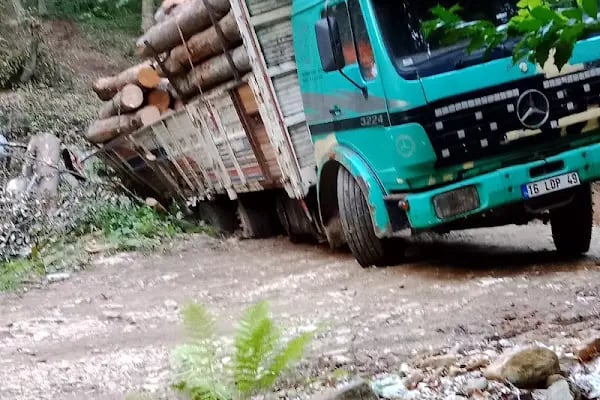 Oylat OİŞ Alaçam Orman Deposu - Resim 14