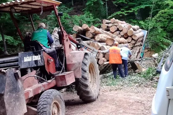 Oylat OİŞ Alaçam Orman Deposu - Resim 17