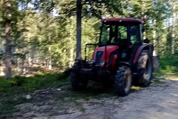 Oylat OİŞ Alaçam Orman Deposu - Resim 5