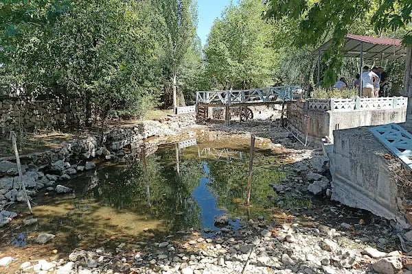 Çetmihan Balık Restaurant - Resim 10