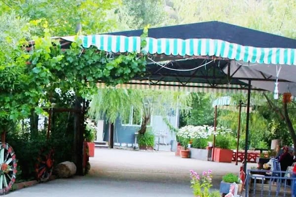 Çetmihan Balık Restaurant - Resim 7