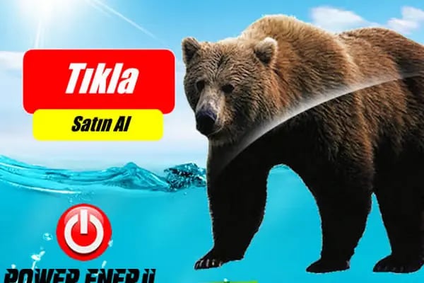 POWER ENERJİ - BALIKESİR - Resim 15