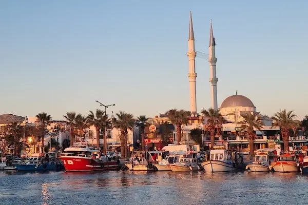 Maranda'A Çiçekçilik - Resim 17