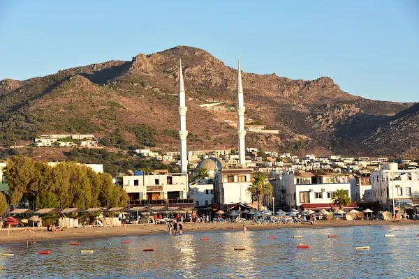 Maranda'A Çiçekçilik - Resim 7