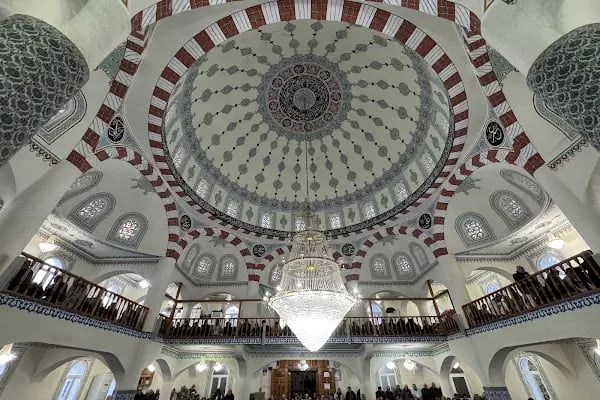 Maranda'A Çiçekçilik - Resim 4