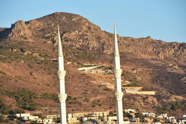 Maranda'A Çiçekçilik - Resim 13
