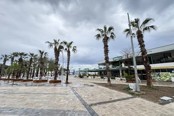 Maranda'A Çiçekçilik - Resim 6