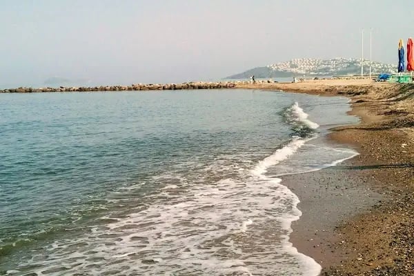 Maranda'A Çiçekçilik - Resim 19