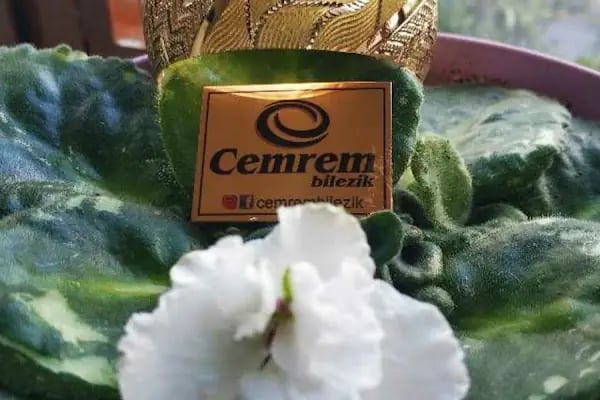 Cemrem Bilezik - Resim 17