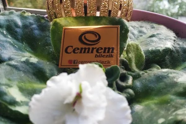 Cemrem Bilezik - Resim 8
