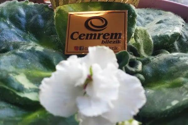 Cemrem Bilezik - Resim 15