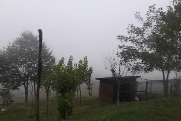 Ogzala Çiftliği - Resim 18