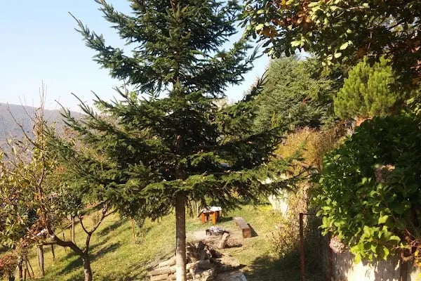 Ogzala Çiftliği - Resim 9