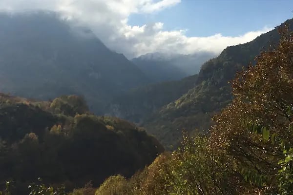 Ogzala Çiftliği - Resim 7