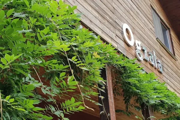 Ogzala Çiftliği - Resim 15