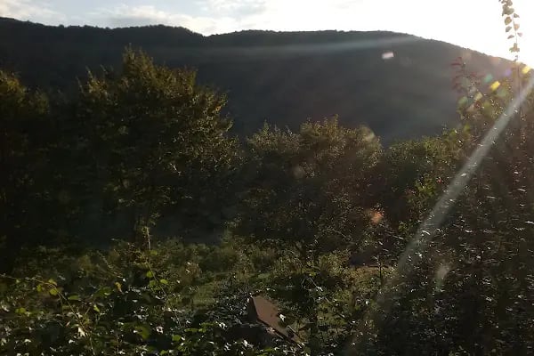 Ogzala Çiftliği - Resim 8