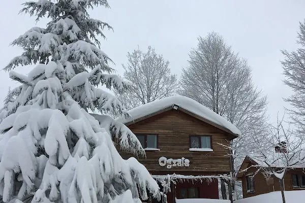 Ogzala Çiftliği - Resim 4