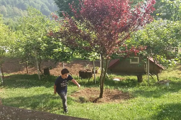 Ogzala Çiftliği - Resim 19