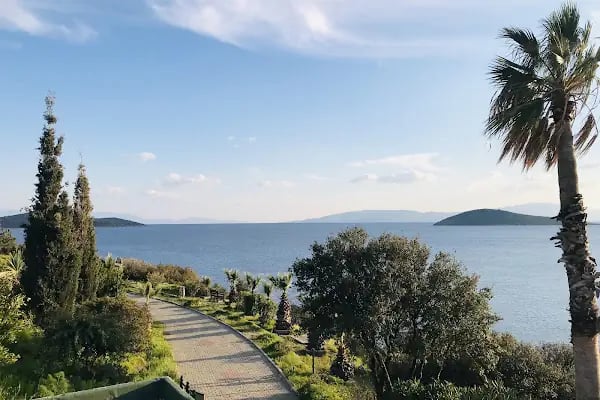AKTUR D PLAJ RESTAURANT - Resim 10