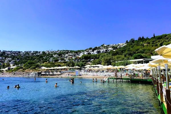 AKTUR D PLAJ RESTAURANT - Resim 9