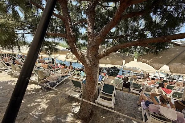 AKTUR D PLAJ RESTAURANT - Resim 7