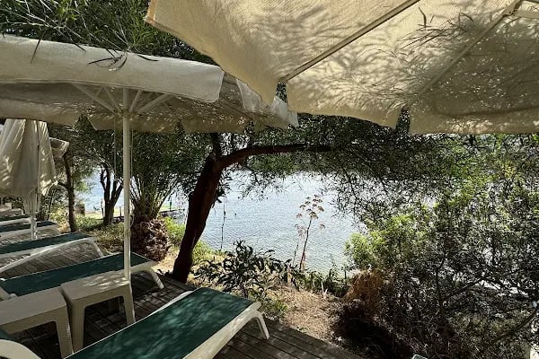 AKTUR D PLAJ RESTAURANT - Resim 8