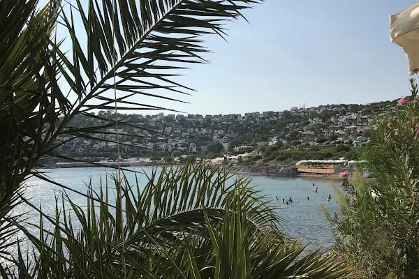 AKTUR D PLAJ RESTAURANT - Resim 20