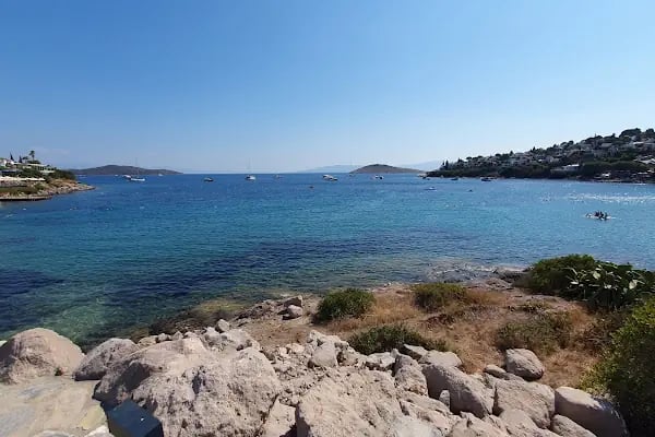 AKTUR D PLAJ RESTAURANT - Resim 4