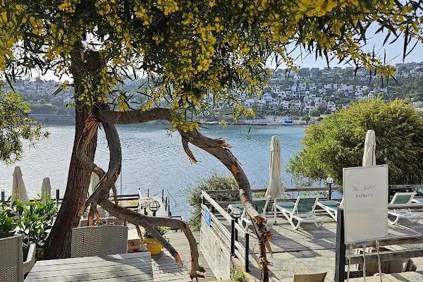 AKTUR D PLAJ RESTAURANT - Resim 5