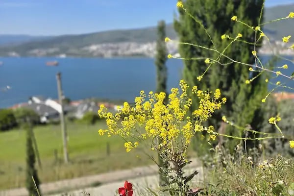 Ata Mahallesi Cami - Resim 19