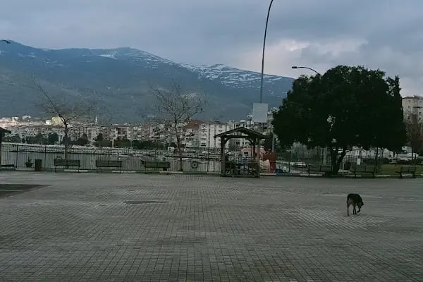 Ata Mahallesi Cami - Resim 10