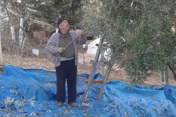 Şehit Ferit Yaşarlar Parkı - Resim 15