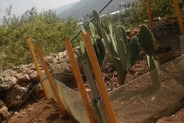 Şehit Ferit Yaşarlar Parkı - Resim 13