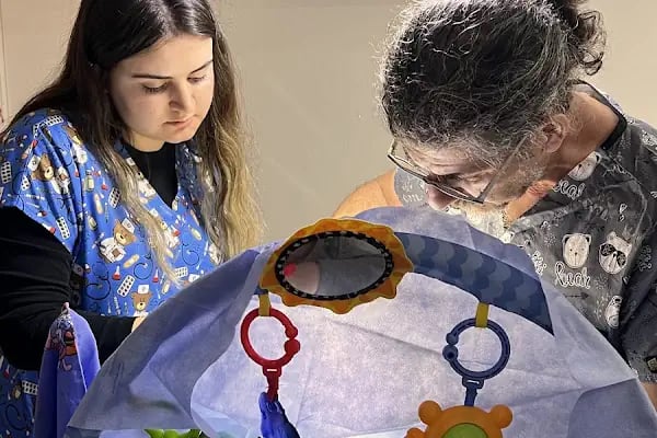 Prof. Dr. Ahmet Güven | Hipospadias | Çocuk Cerrahisi ve Çocuk Ürolojisi | Sünnet | Ataşehir - Resim 18