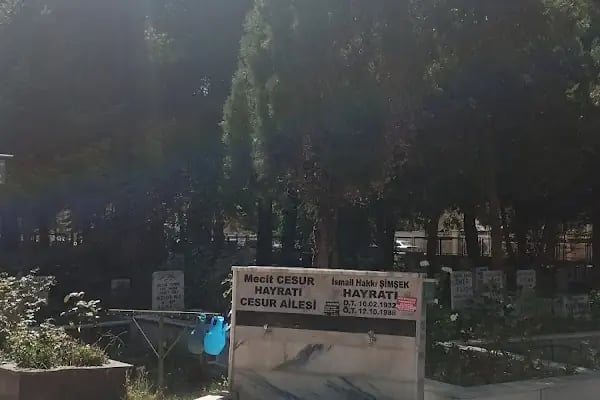 Hastane Mezarlığı - Resim 5