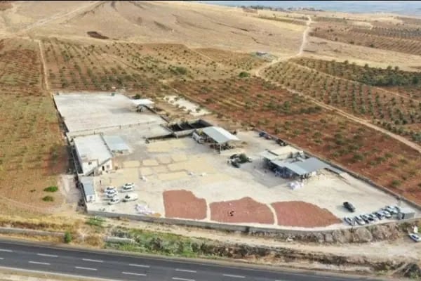 Çelik Zeytinyağı Fabrikası - Resim 9
