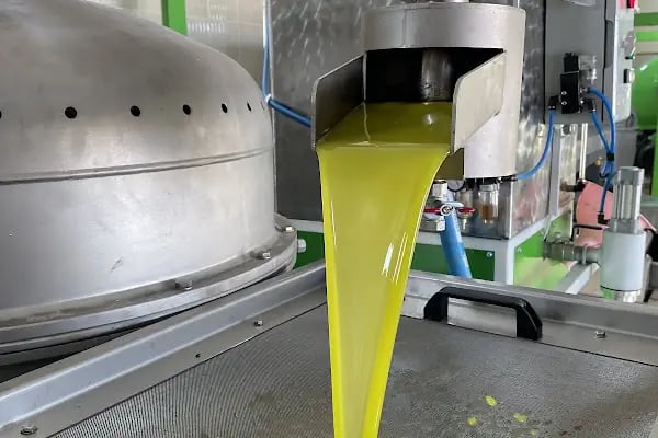 Çelik Zeytinyağı Fabrikası - Resim 4